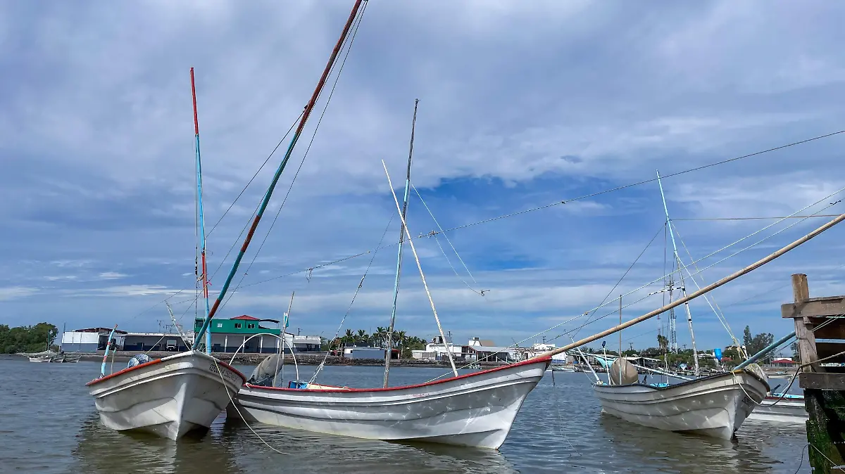 Mujeres-ostricultoras-La-Reforma-acuacultura