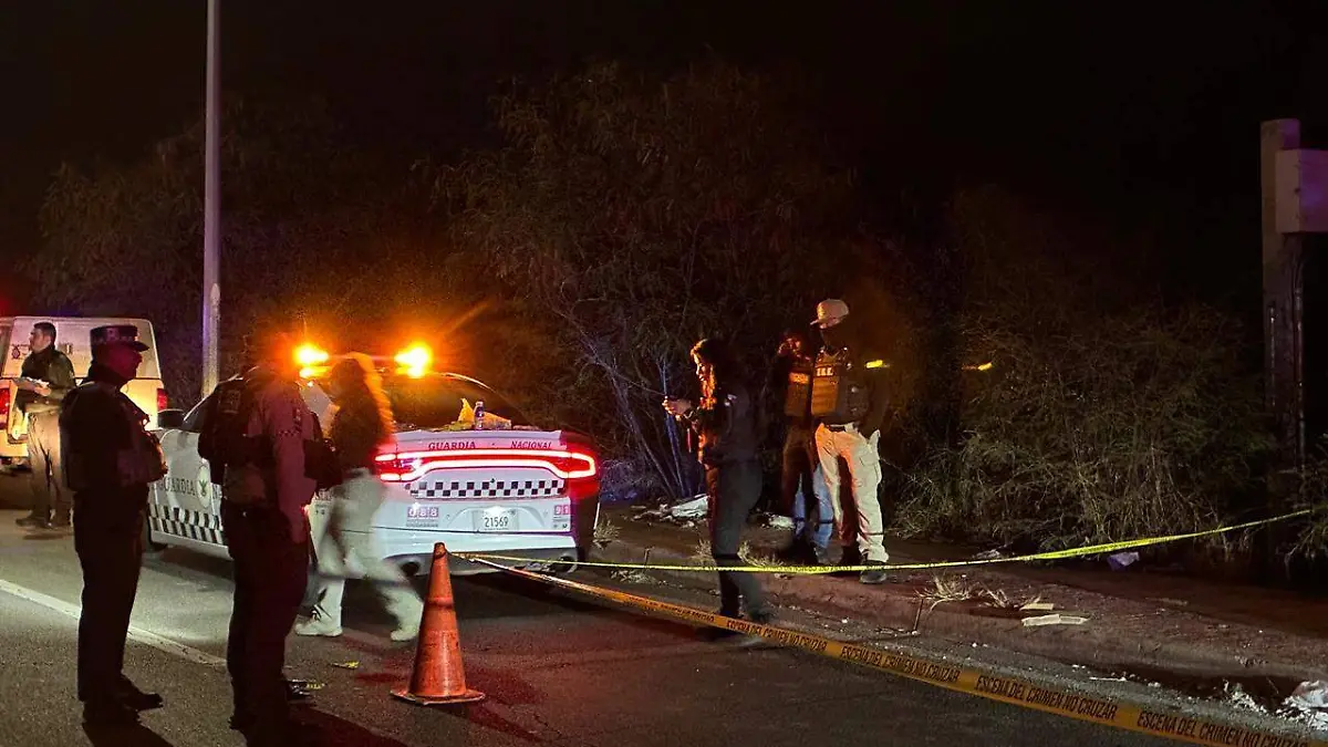 WhatsApp Image 2026-01-31 at 9.25.05 AM