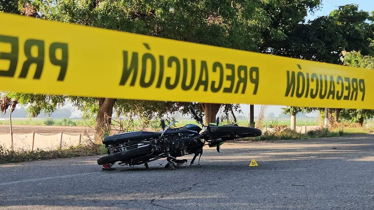 WhatsApp Image 2026-02-02 at 8.47.24 AM