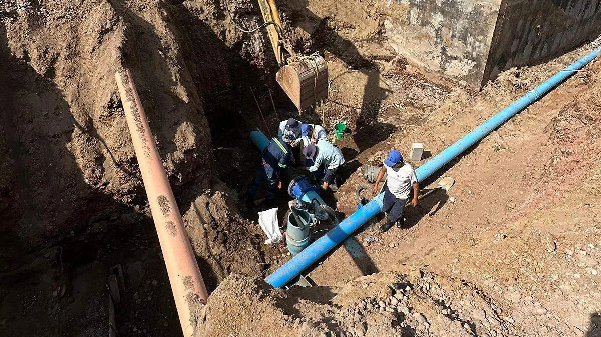 WhatsApp Image 2026-02-02 at 12.24.31 PM