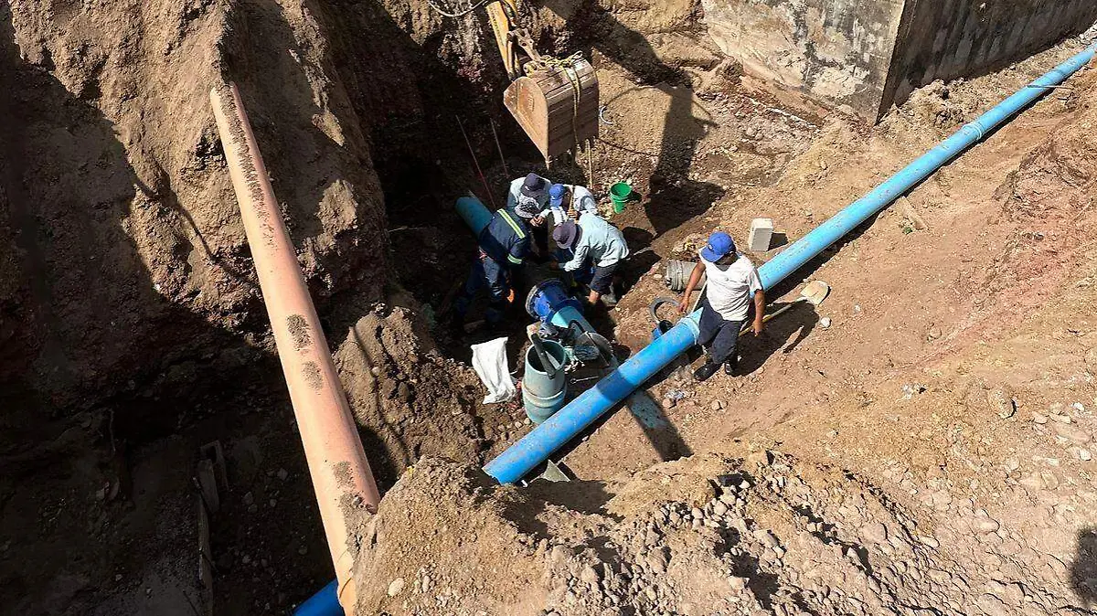 WhatsApp Image 2026-02-02 at 12.24.31 PM