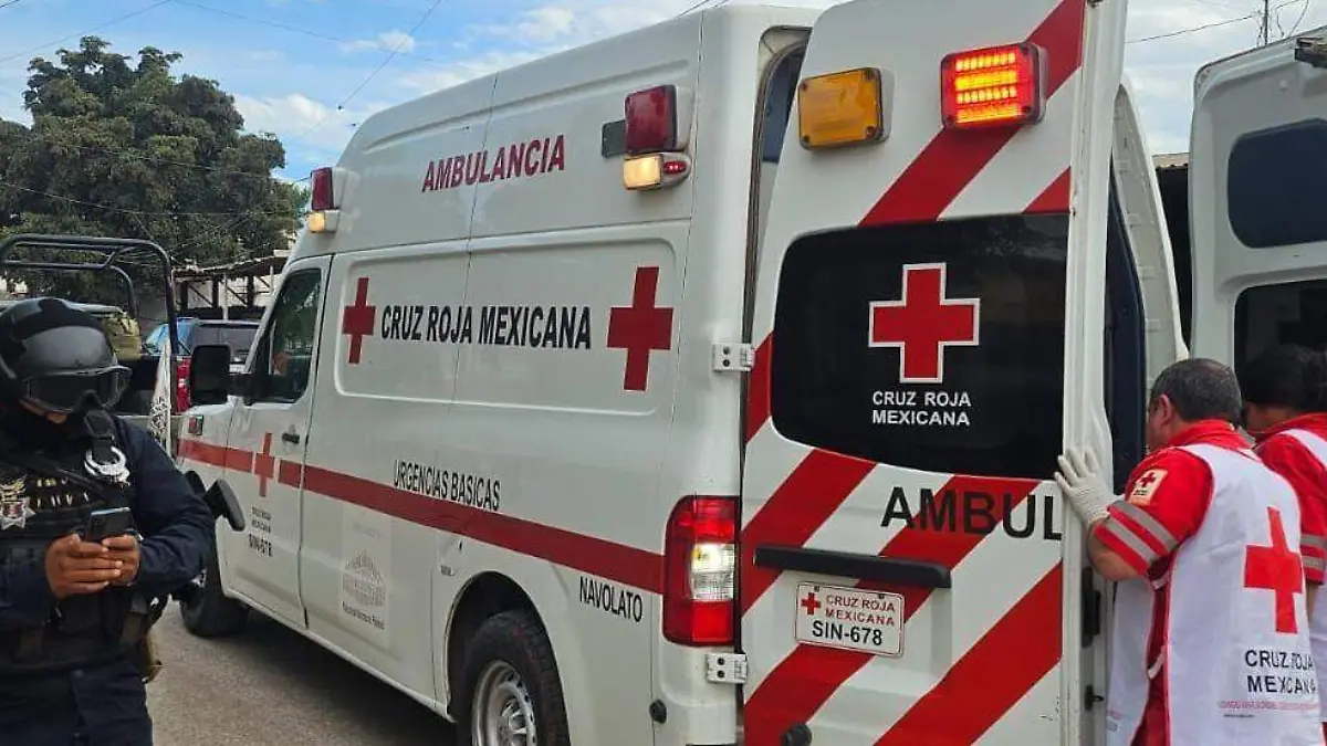 WhatsApp Image 2026-02-04 at 3.24.41 PM