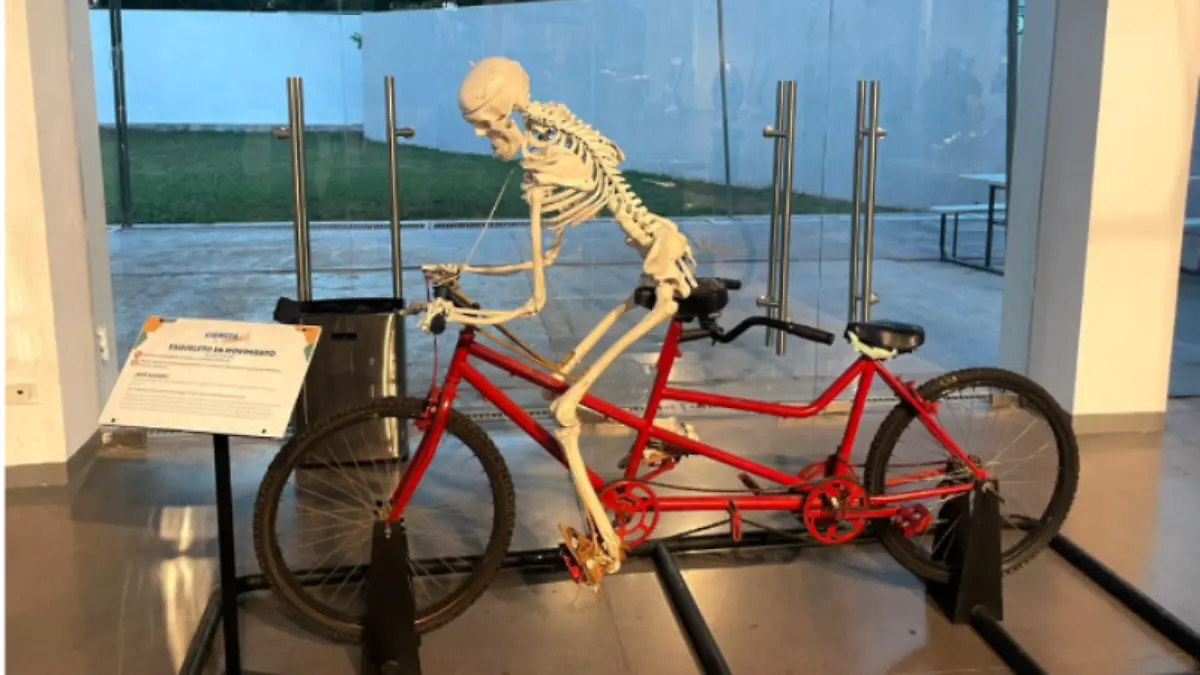 centro - ciencias- cul