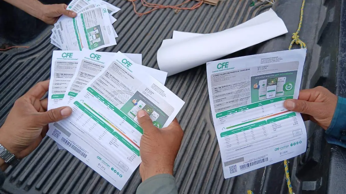 WhatsApp Image 2026-02-05 at 11.23.23 AM