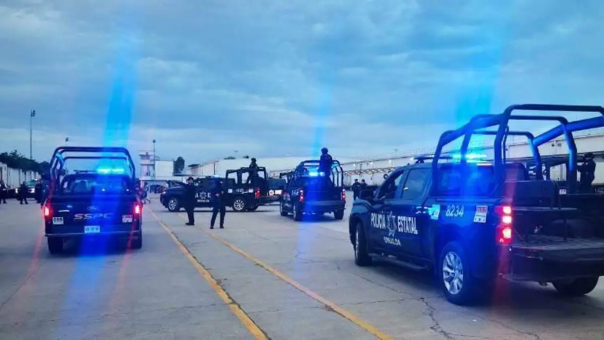 menores - fudados- tutelar