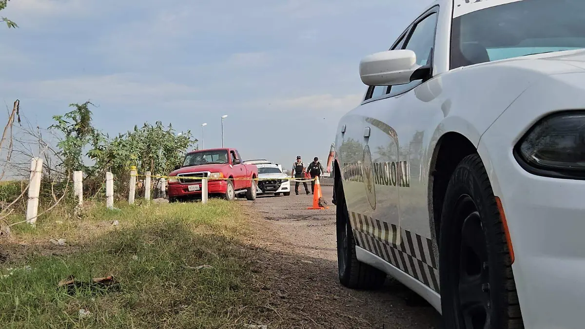 WhatsApp Image 2026-02-09 at 8.29.03 AM