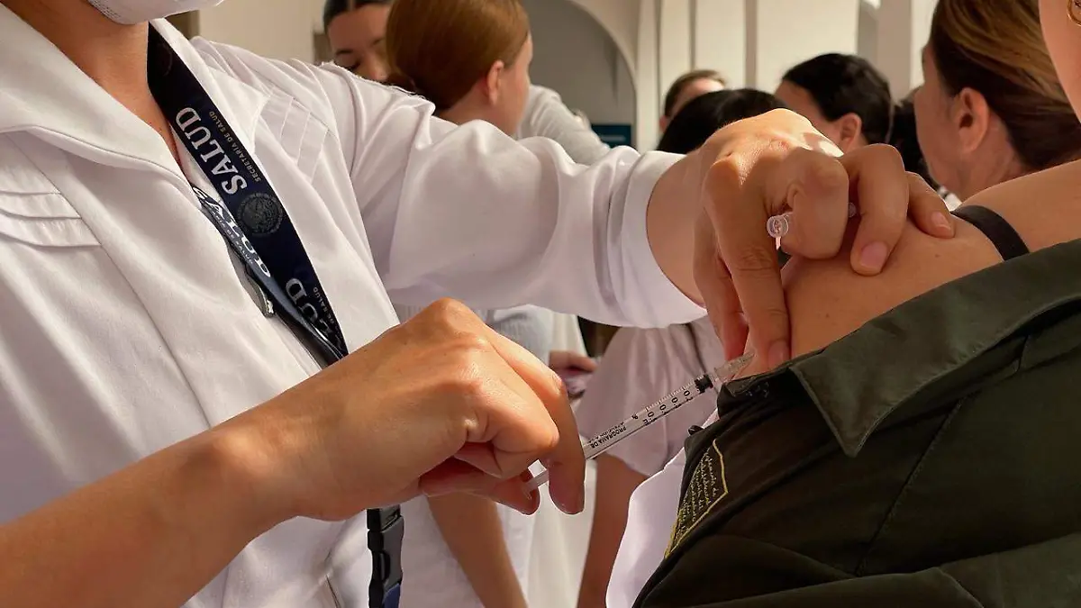 WhatsApp Image 2026-02-11 at 12.17.07 PM (1)