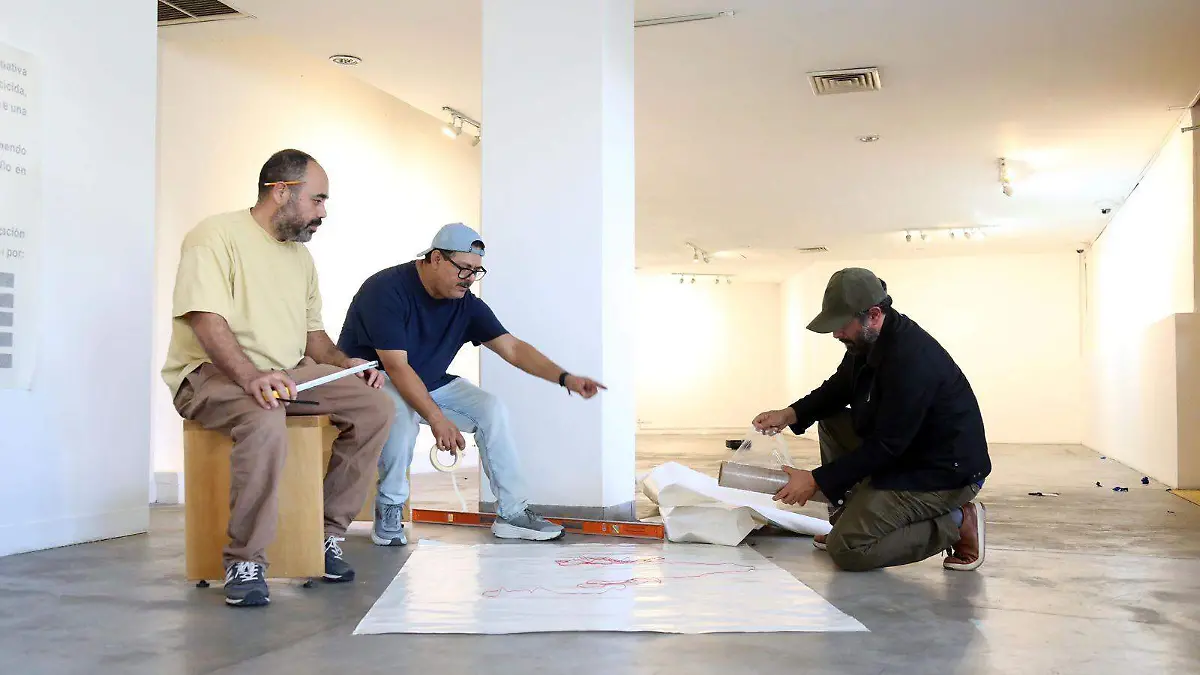 WhatsApp Image 2026-02-12 at 11.06.01 AM