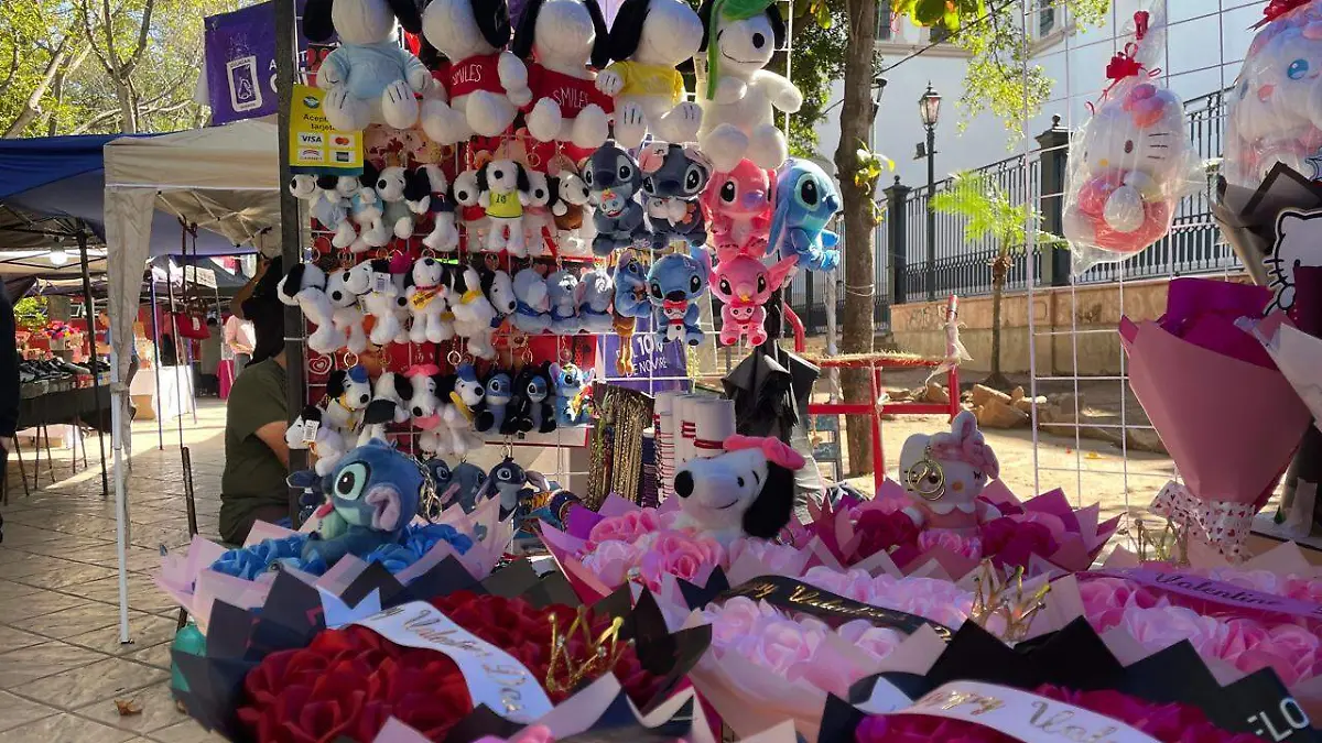 WhatsApp Image 2026-02-12 at 10.59.25 AM (3)