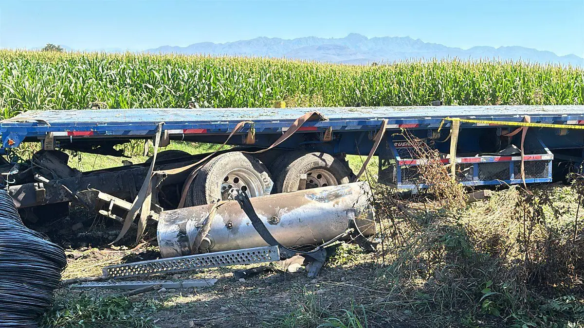 WhatsApp Image 2026-02-13 at 11.57.50 AM