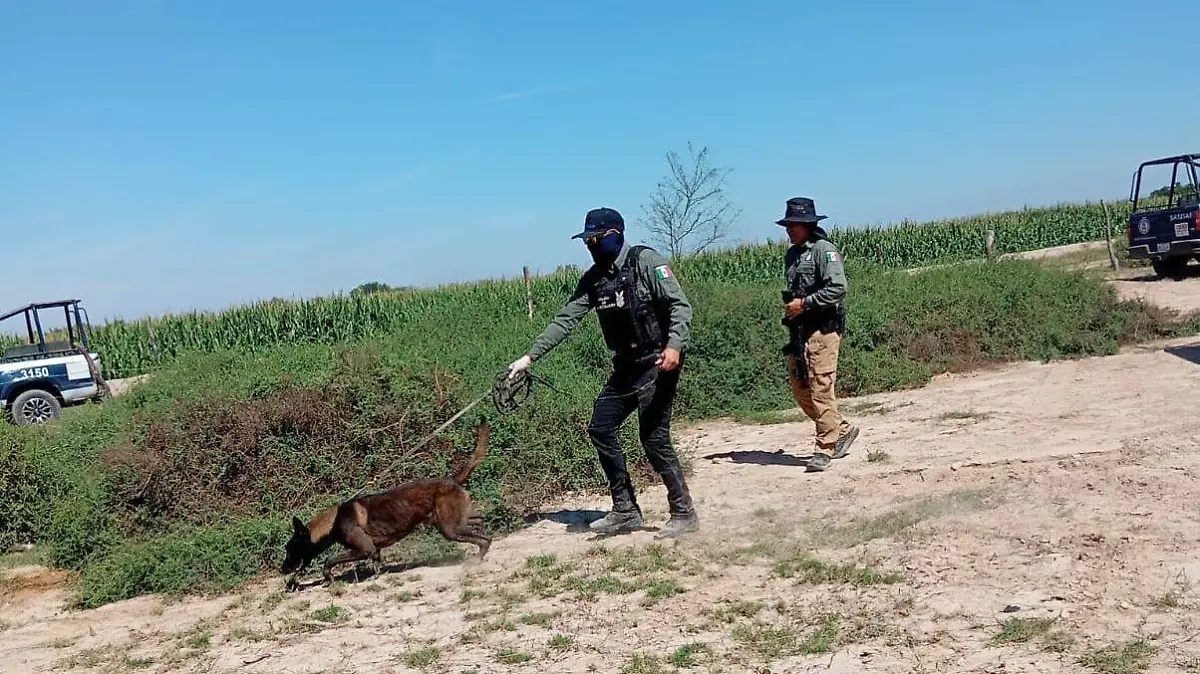 Fosa-clandestina-Navolato