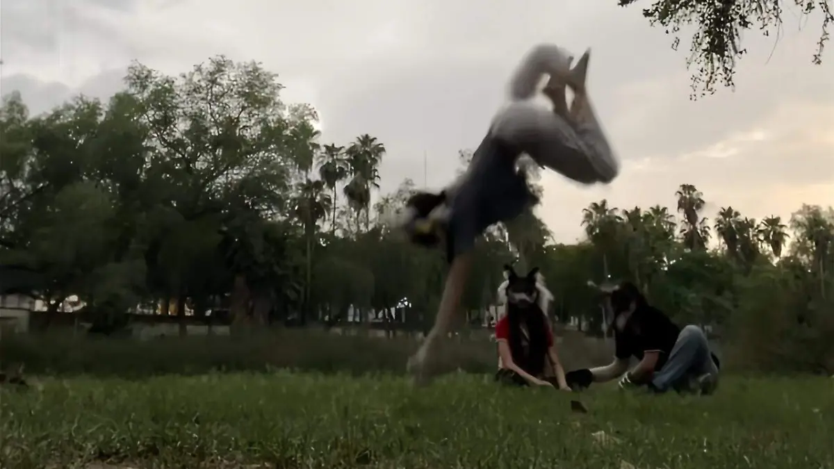 Therians-culiacán-tendencia 