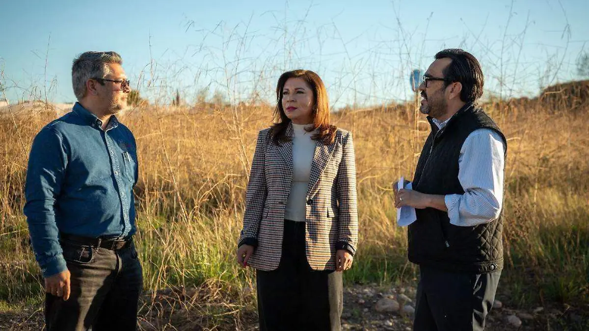 supervisan - terreno