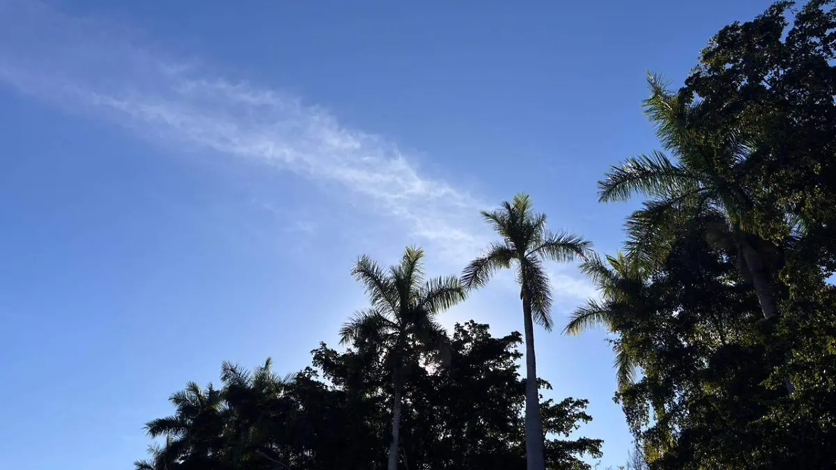 WhatsApp Image 2026-02-17 at 8.41.03 AM