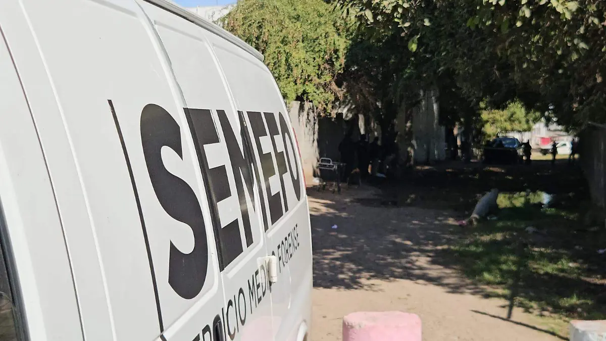 WhatsApp Image 2026-02-18 at 11.04.51 AM