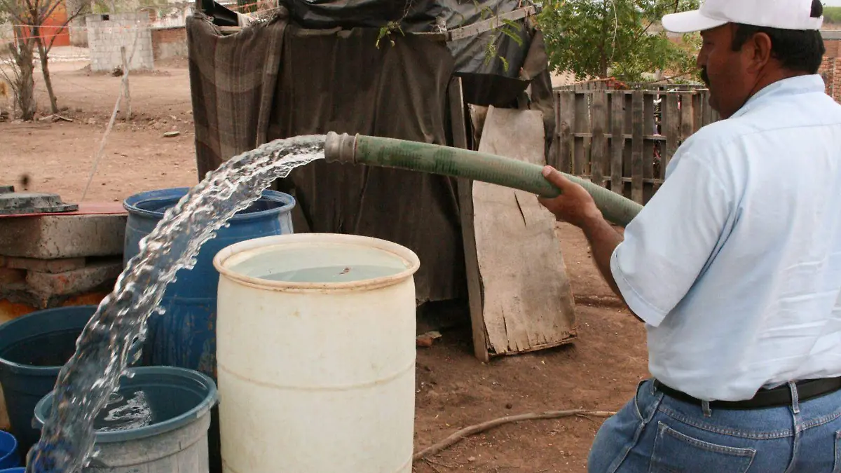 WhatsApp Image 2026-02-19 at 10.12.17 AM