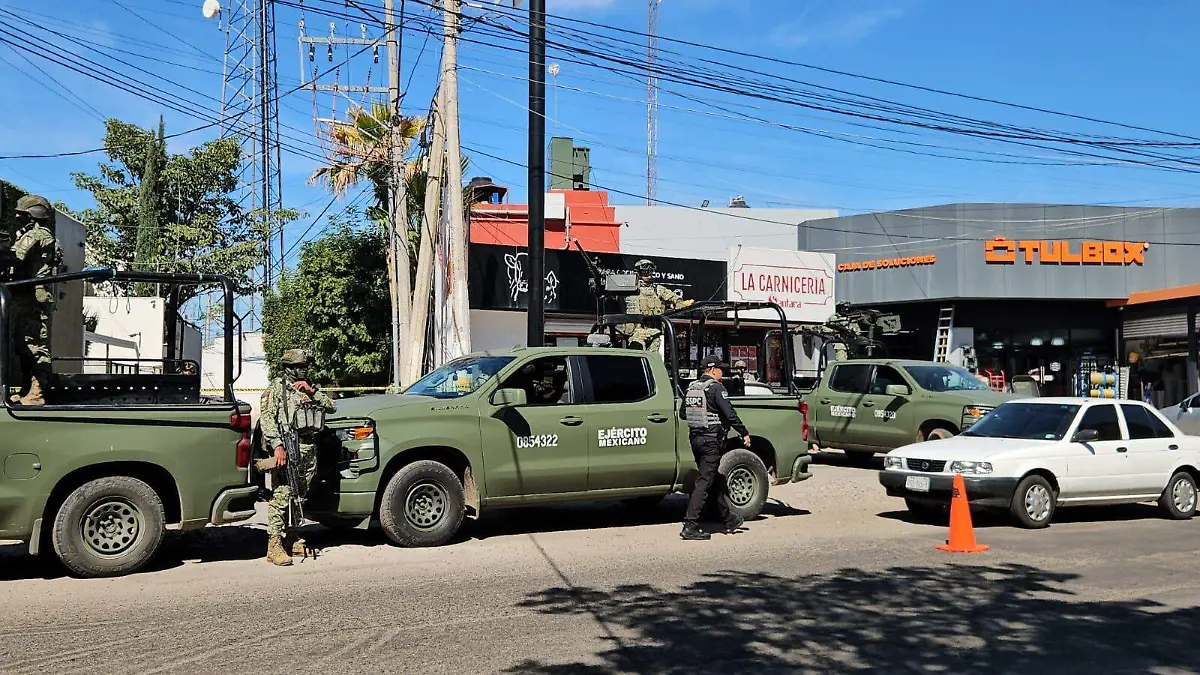 WhatsApp Image 2026-02-19 at 11.49.28 AM