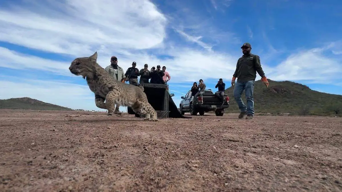 WhatsApp Image 2026-02-21 at 10.48.23 AM