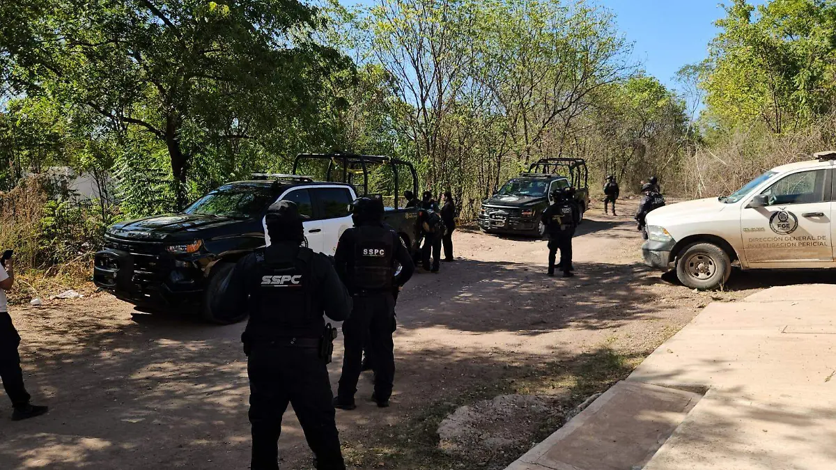 WhatsApp Image 2026-02-24 at 2.43.01 PM