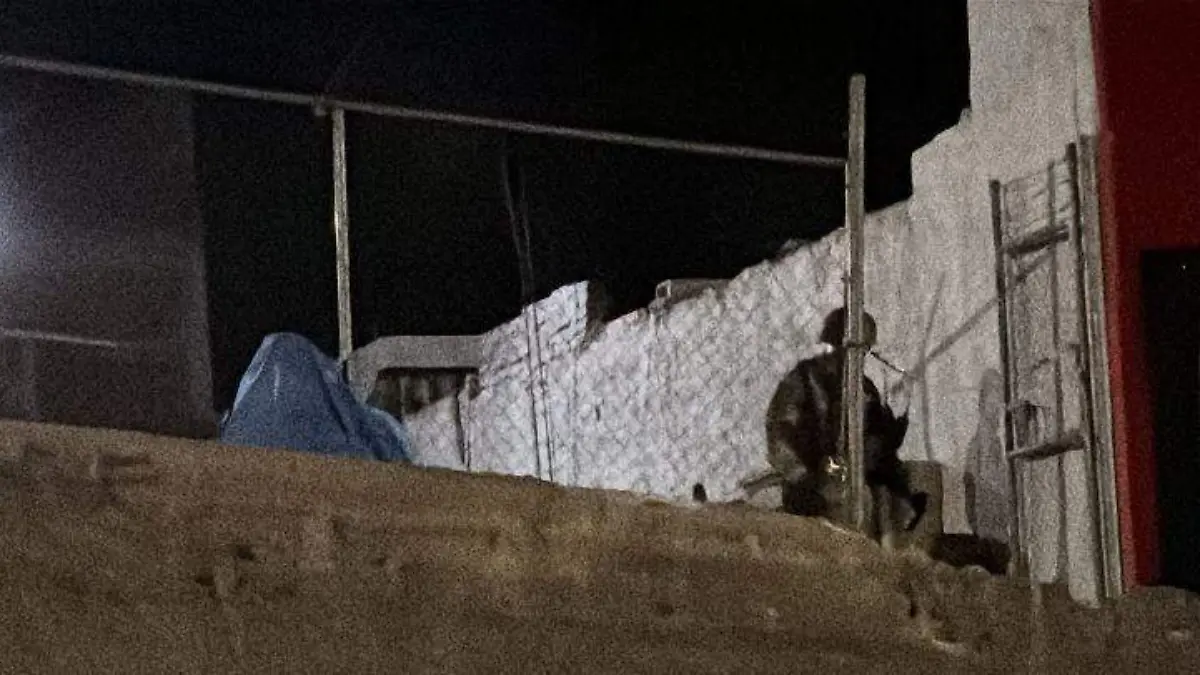 ejecutado - progreso