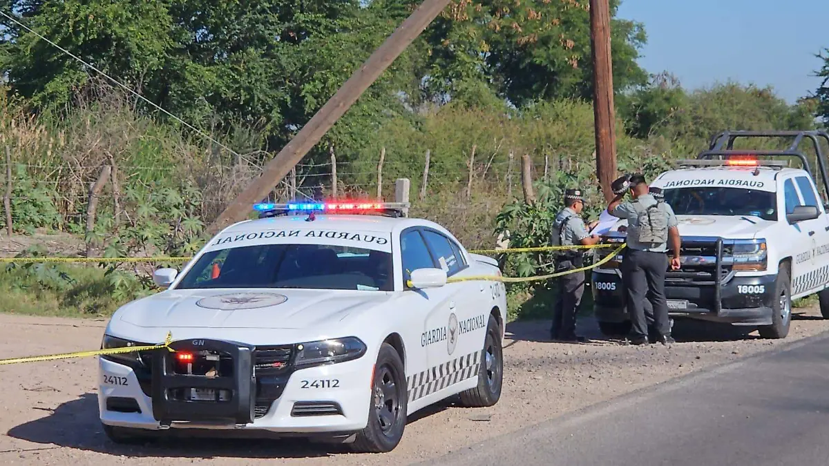 WhatsApp Image 2026-02-25 at 9.22.01 AM