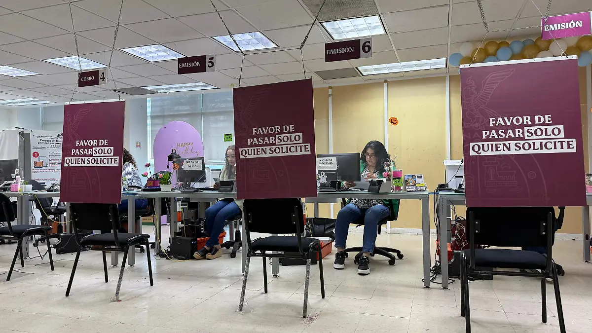 Licencia-gobierno-conducir2