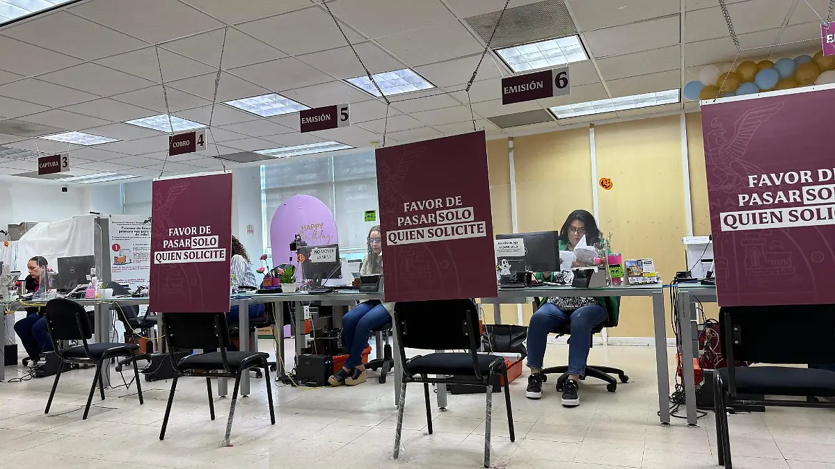 Licencia-gobierno-conducir3