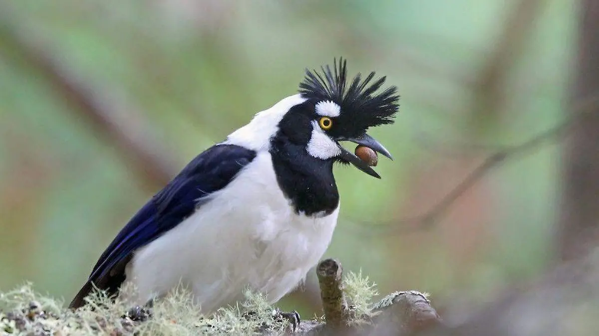 WhatsApp Image 2026-02-27 at 7.47.31 AM (1)