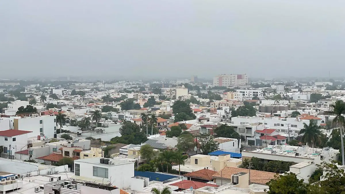 WhatsApp Image 2026-02-28 at 8.22.29 AM