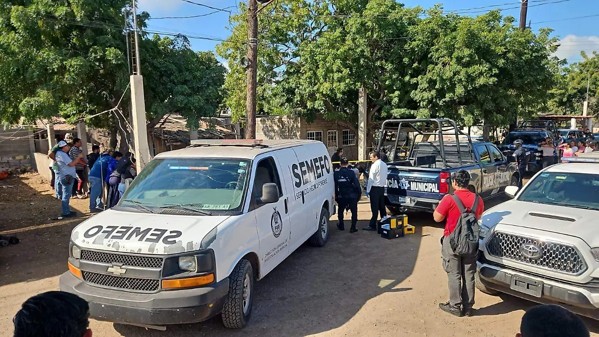 WhatsApp Image 2026-03-03 at 9.41.37 AM