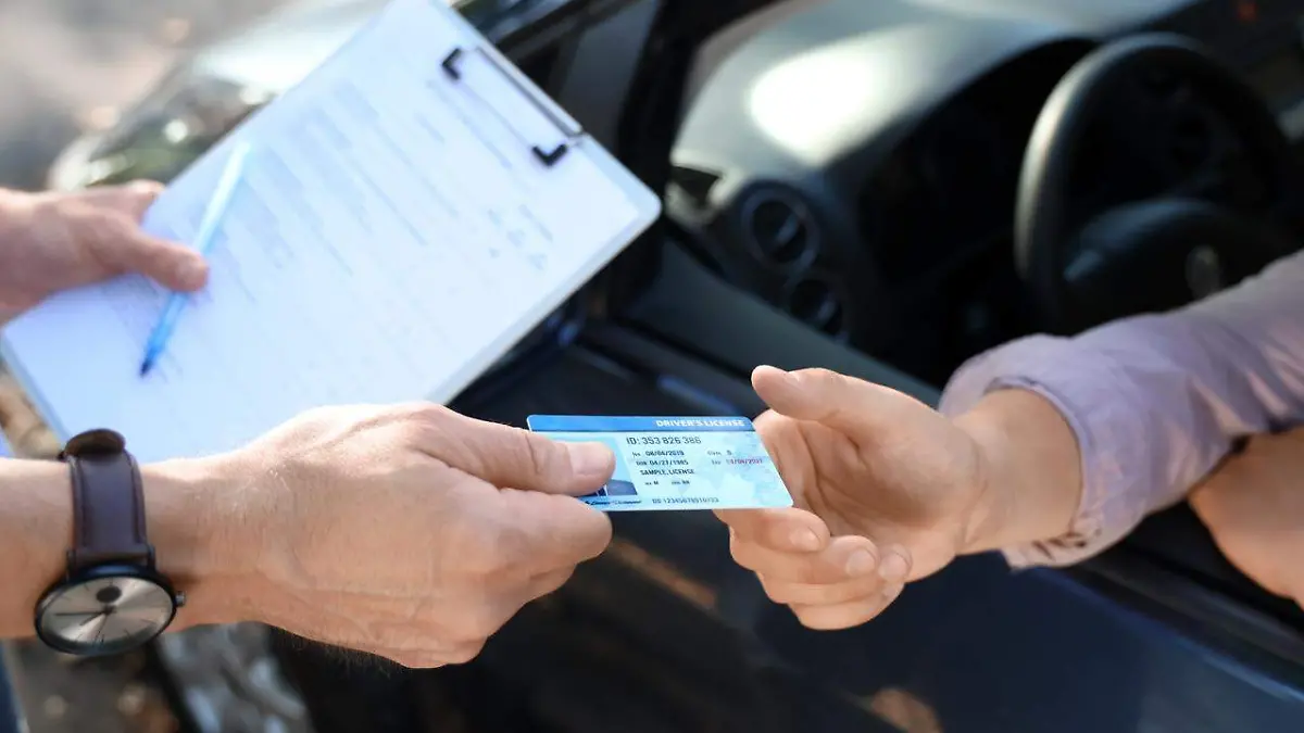 WhatsApp Image 2026-03-03 at 11.19.34 AM