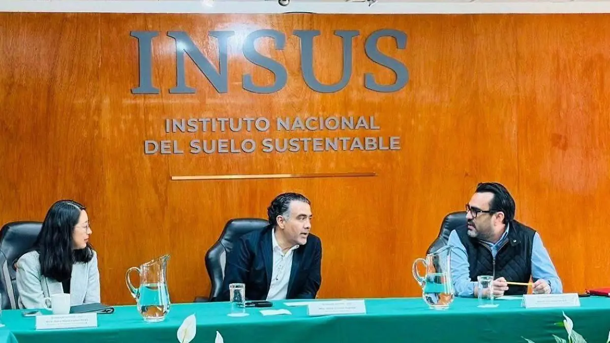 insus