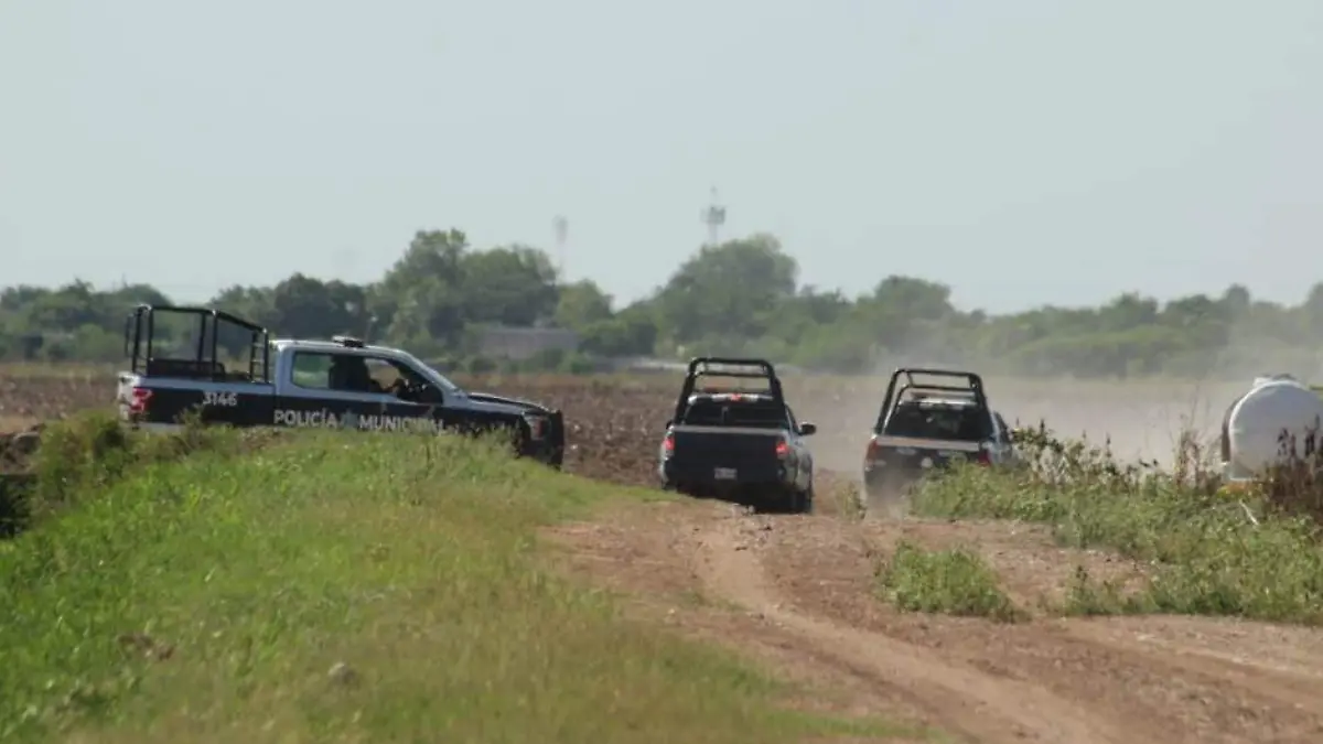 osamenta - costarica