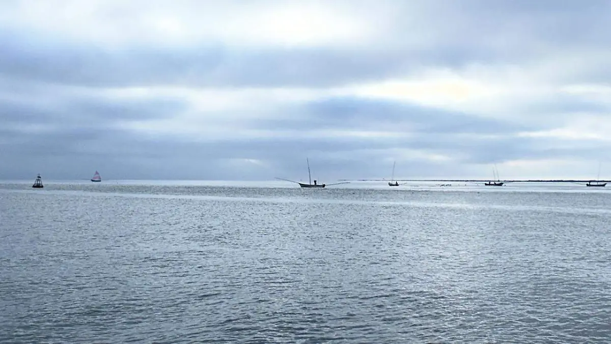 WhatsApp Image 2026-03-12 at 11.32.31 AM