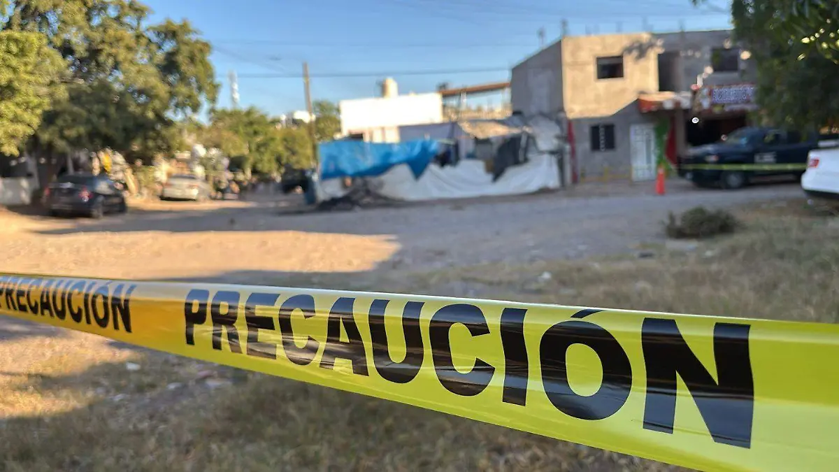 ejecutado - progreso