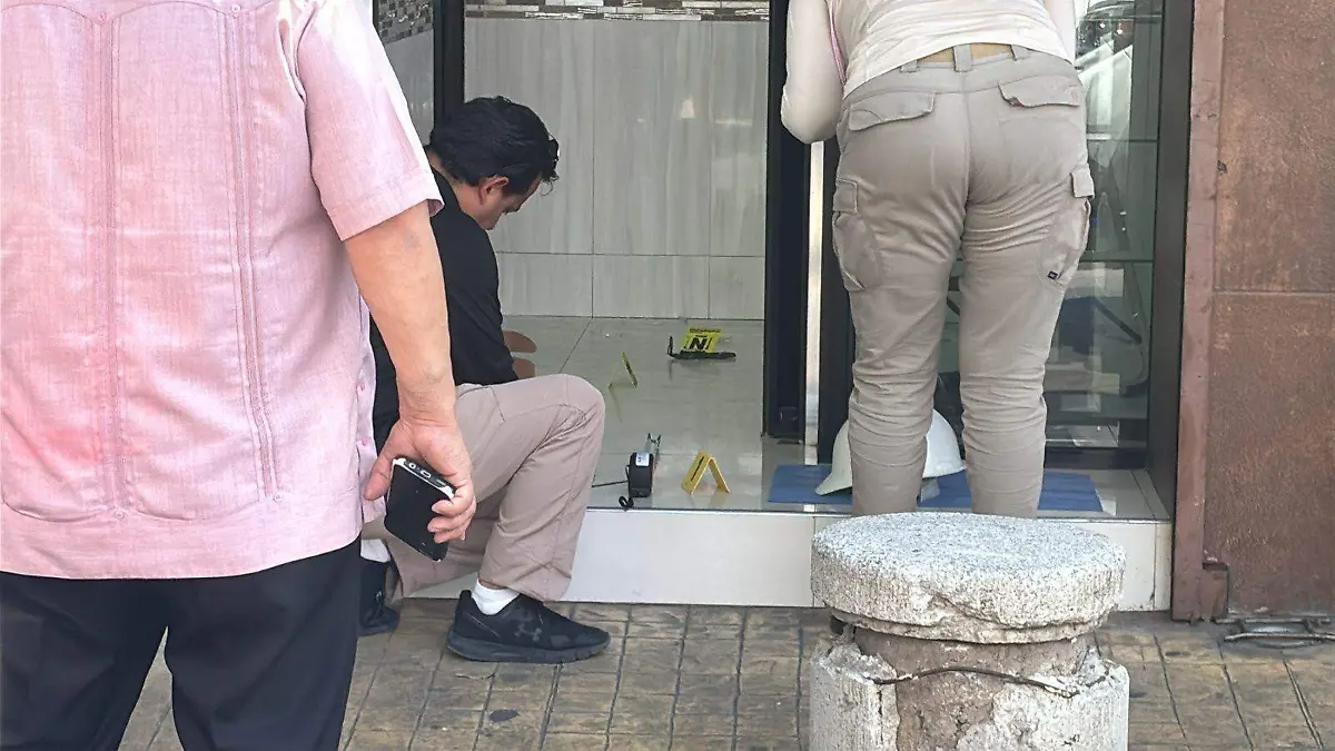 WhatsApp Image 2026-03-13 at 6.29.54 PM