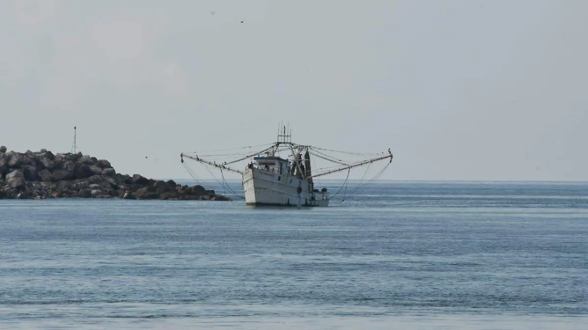 WhatsApp Image 2026-03-14 at 12.06.36 PM