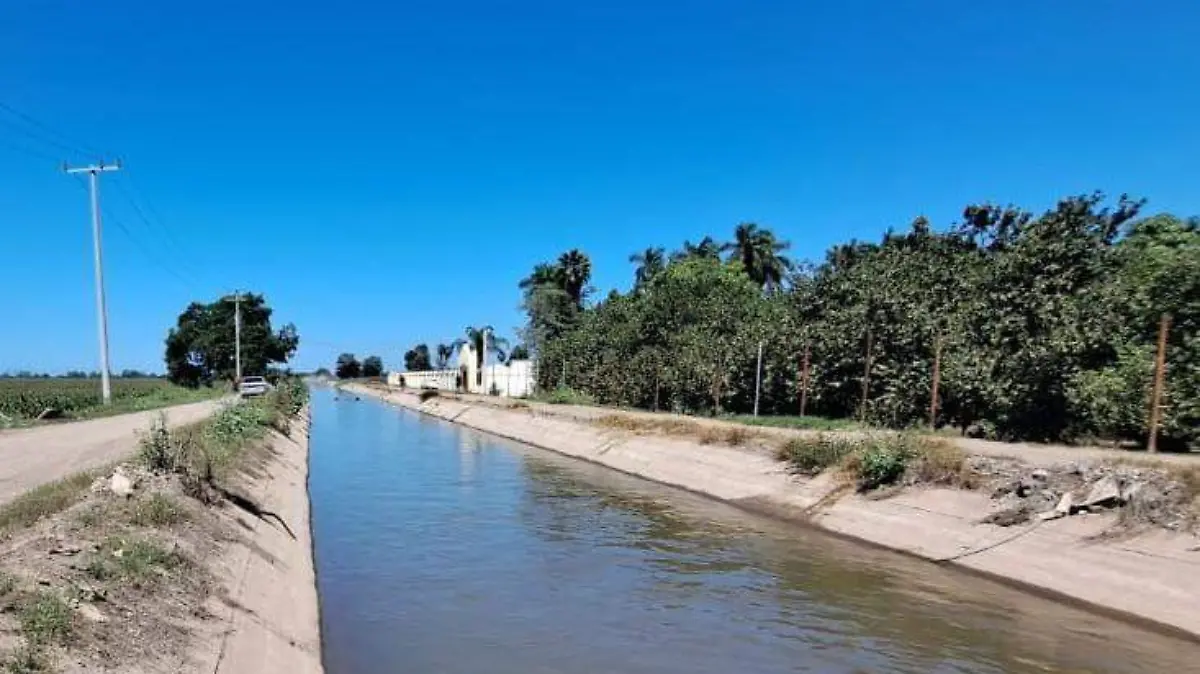 WhatsApp Image 2026-03-13 at 5.13.38 PM