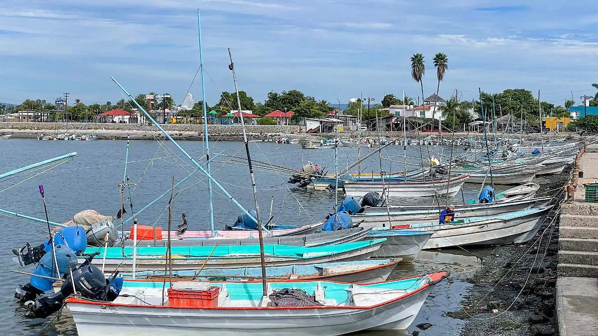 Pesca-bote-bahía