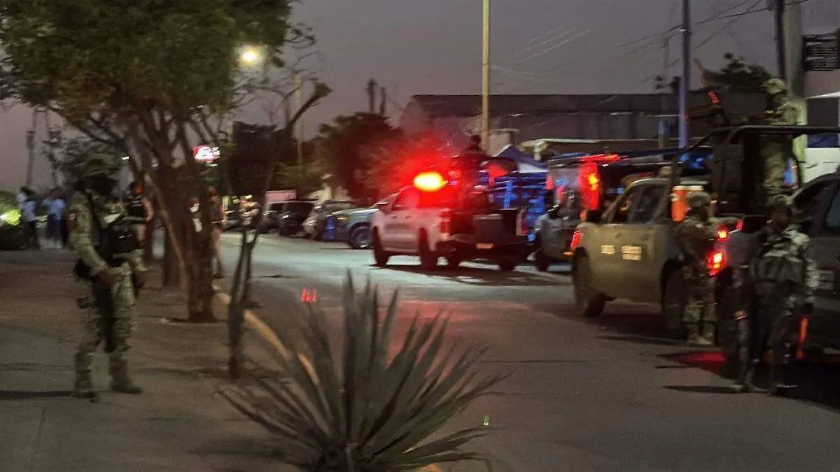 adolescente - brincolines