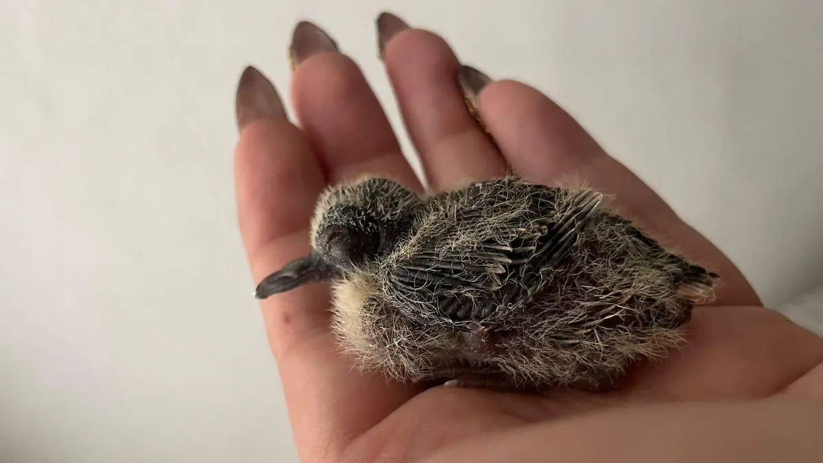 WhatsApp Image 2026-03-23 at 9.58.56 AM