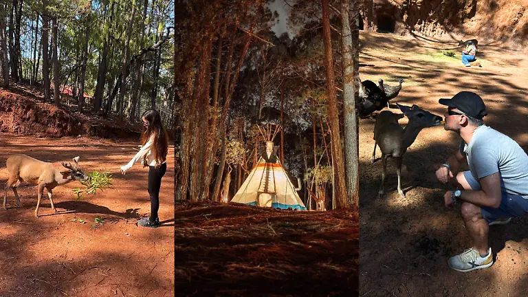 Diseño sin título (6)