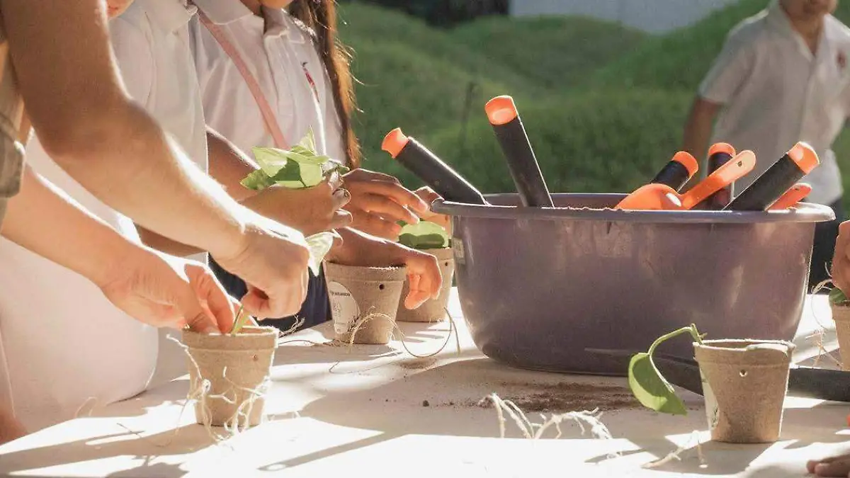 WhatsApp Image 2026-03-27 at 2.57.08 PM