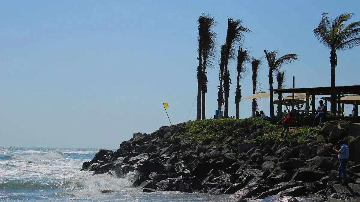 WhatsApp Image 2026-03-31 at 10.35.49 AM