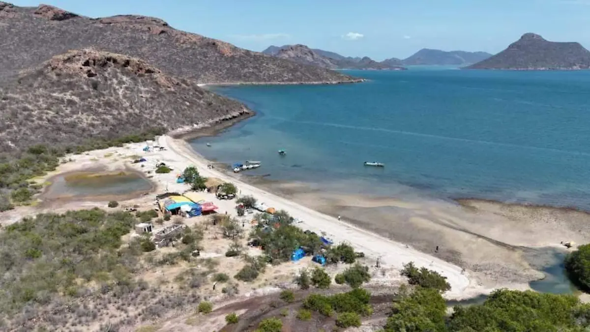 navachiste - navachiste