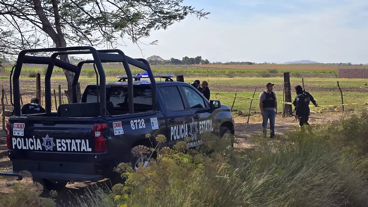 WhatsApp Image 2026-04-01 at 3.21.08 PM