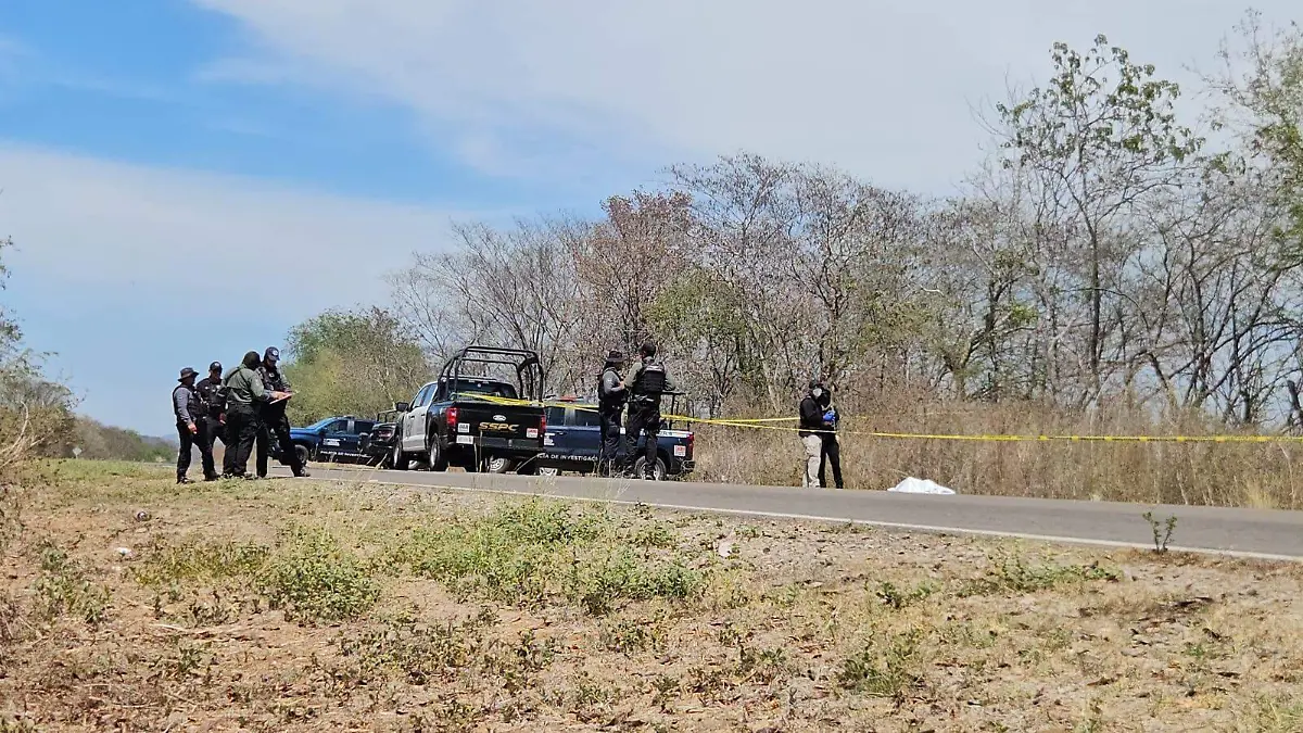 WhatsApp Image 2026-04-03 at 2.59.21 PM