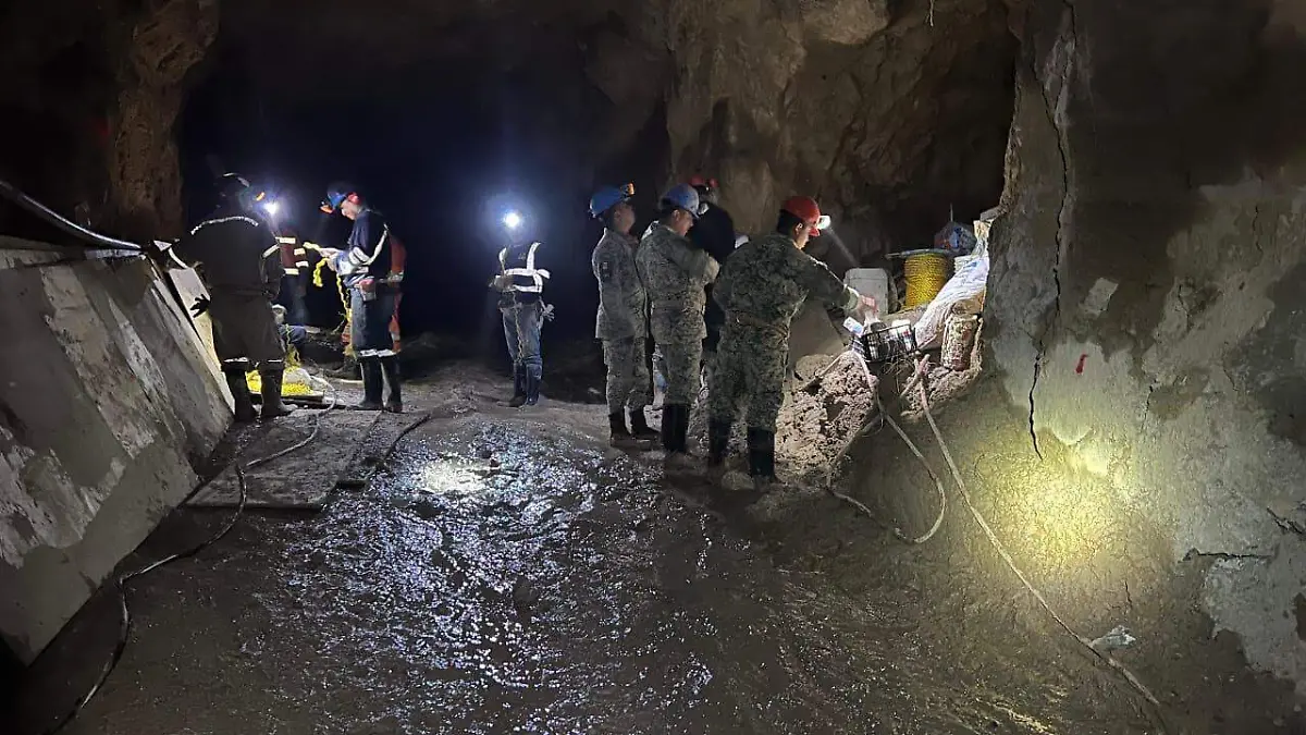 WhatsApp Image 2026-04-04 at 10.54.10 AM