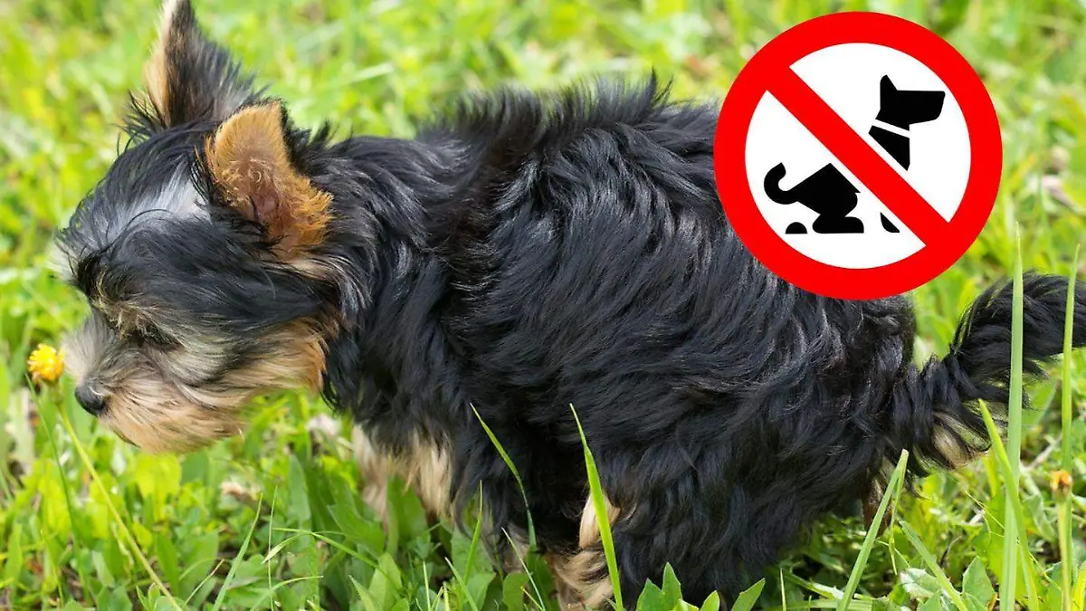 WhatsApp Image 2026-04-06 at 12.36.54 PM