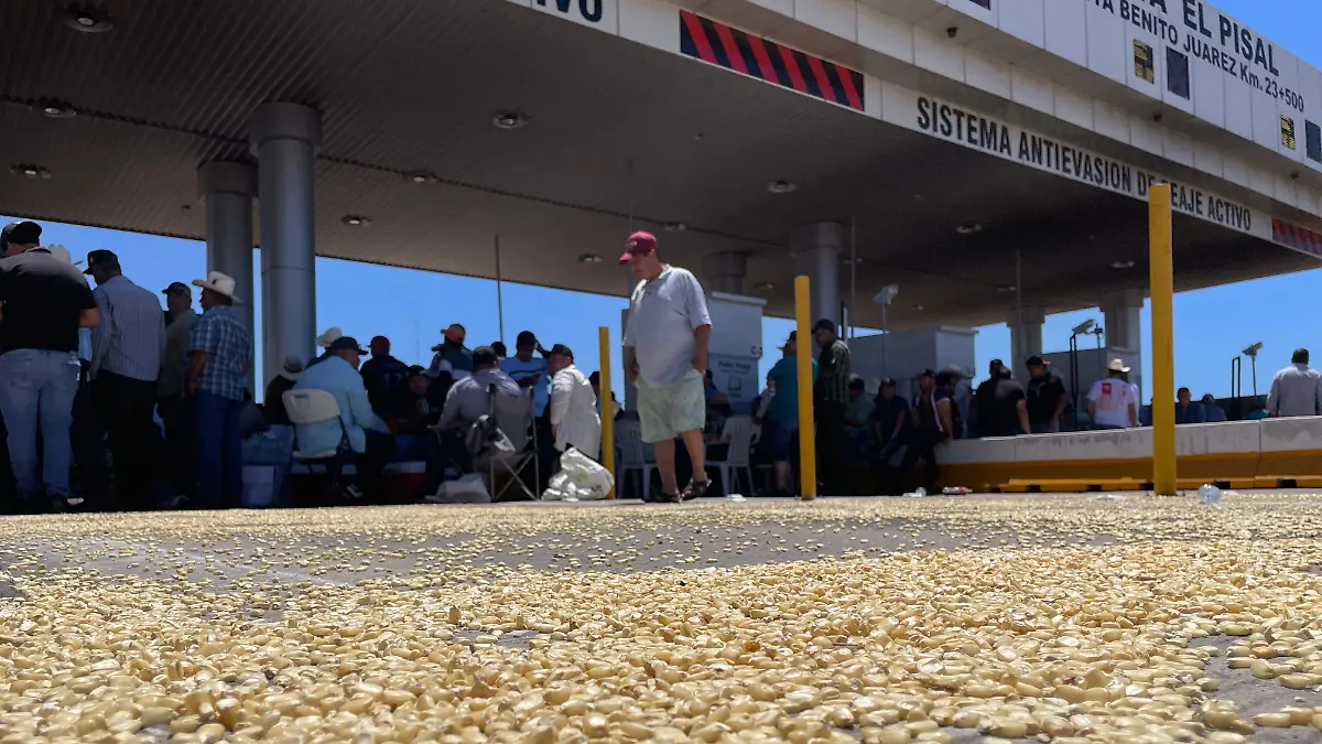 WhatsApp Image 2026-04-06 at 12.35.05 PM (3)